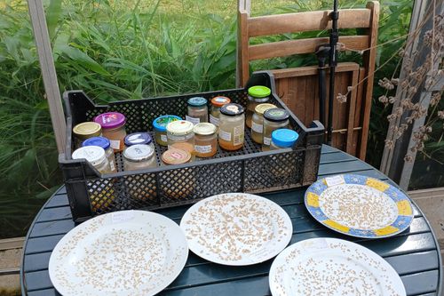 Saatgutfest 2026 von Hamburgs Gärten