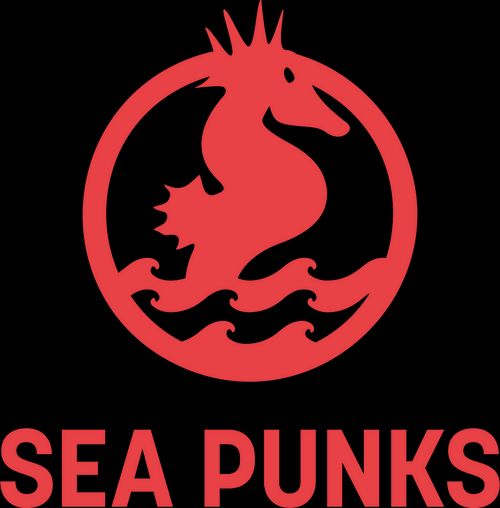 monatliches Plenum Sea Punks Hamburg 